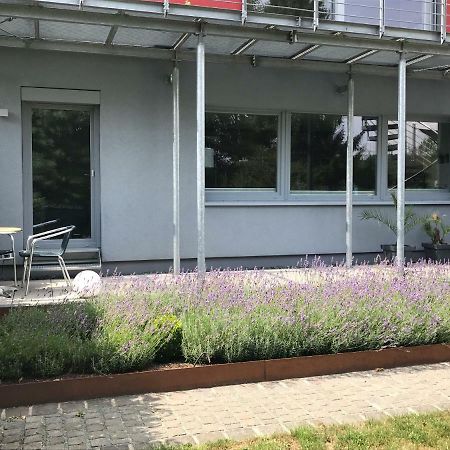 Wander- Und Aktivchalet Birkenfeld  Dış mekan fotoğraf
